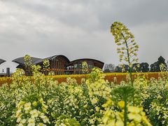 -中国天府农业博览园