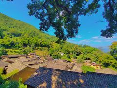 -杨家堂村