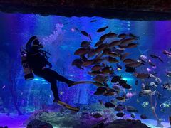 -沈阳海洋探索中心