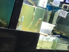 水产区-九层海鲜塔(市南店)