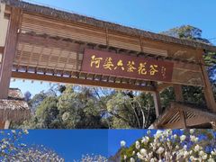 -天适樱花悠乐园