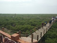 -北海金海湾红树林生态旅游区