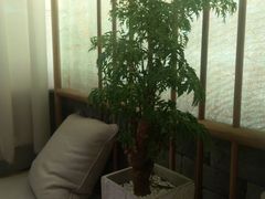 -茶理宜世(东方宝泰店)