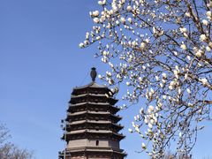 -天宁寺