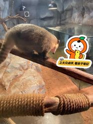 -Zoolung Zoolung动物主题公园(海信广场店)