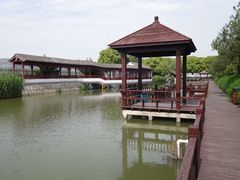 -宏泰园蔬果专业合作社
