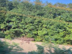 -大金山风景区