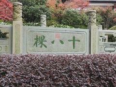 -十八棵（老龙井）御茶园(老龙井店)