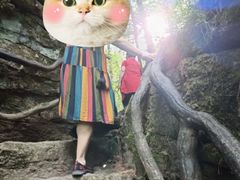 -汤旺河林海奇石景区