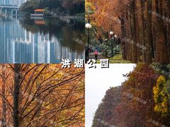 -深圳仙湖植物园