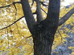 -京西十八潭风景区