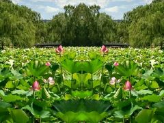 android_upload_pic-紫竹院公园冰场