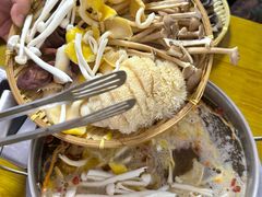 -菌极鲜野生菌火锅店(阳明祠店)