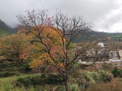 -塔川景区