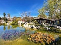 -汉庭顿图书馆