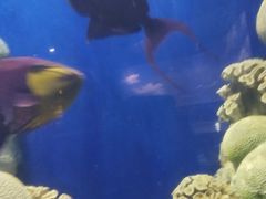 -福州罗源湾海洋世界旅游区