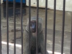 -广东茂名森林公园