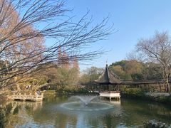 -上海醉白池公园