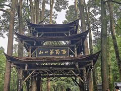 -青城山