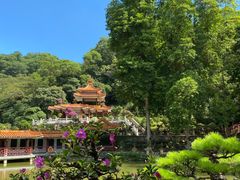 -深圳仙湖植物园