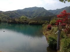 -龙坞茶村