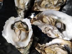 -烧蠔帮·湛江生蚝(工农店)