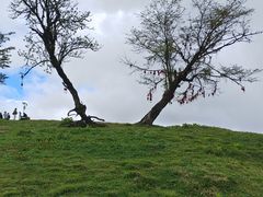 -硗碛藏寨·神木垒景区
