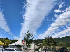 -北京西山国家森林公园