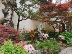 -上海醉白池公园