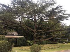 -西郊宾馆·1921餐厅