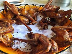 -百利鸽王(紫薇路店)