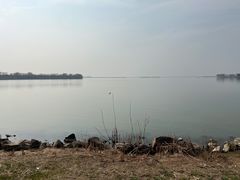 -漕湖湿地公园