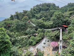 -南丹山森林王国