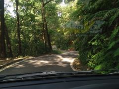 -广州市帽峰山景区