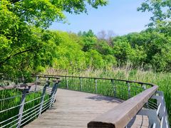 -西湖风景区-江洋畈生态公园