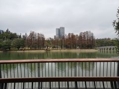 -四海公园(南山区)
