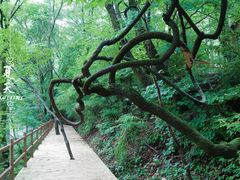 -关门山森林公园