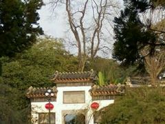 -天井湖游乐园
