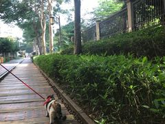 -铁路文化公园