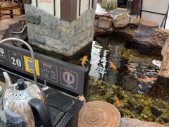 -伯乐居茶艺馆(石岐大信店)