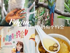 -麒麟中餐厅·经典粤菜·地道菜式老字号(广州长隆酒店)
