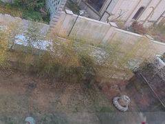 -中苑海韵