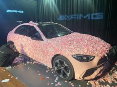 -北京鹏龙星徽AMG性能中心(潘家园店)