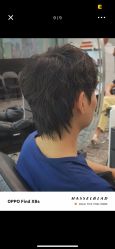 -YESIDO椰岛造型