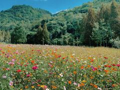 -贵阳市花溪国家城市湿地公园