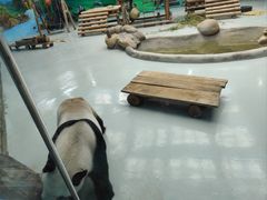 -柳州市动物园