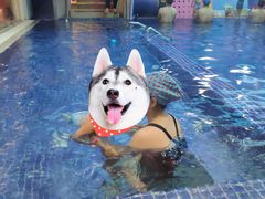 -ABC Swim亲子游泳俱乐部(河西店)