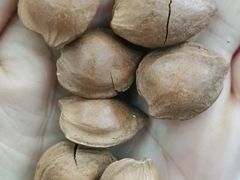-苏州蜜饯门市部