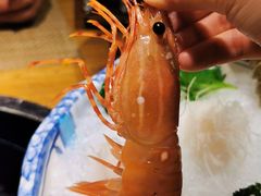 -蟹将军·松叶蟹和牛日料放题自助(K11店)