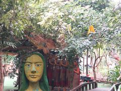 -呀路古热带植物园